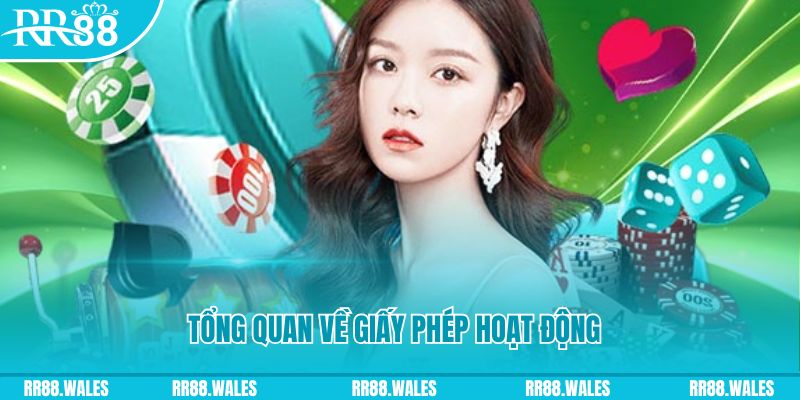 hello 88 kết quả xổ số kiến thiết miền bắc