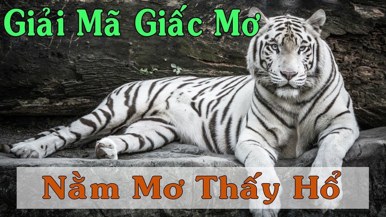 hello 88 xổ số miền trung