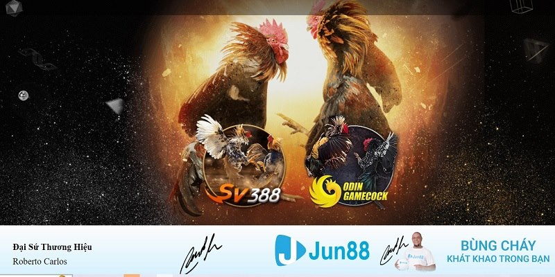 hello 88 xổ số miền nam hàng tuần