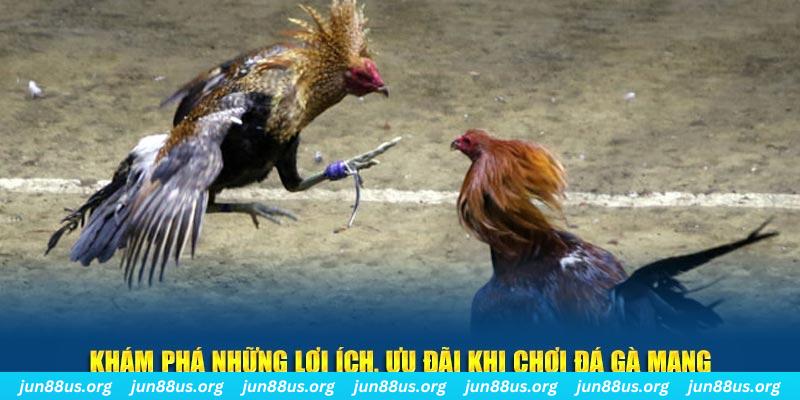 hello 88 Tài Xỉu 2