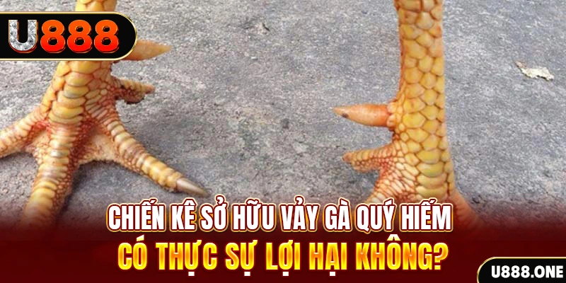 hello 88 game cá cược máy bay