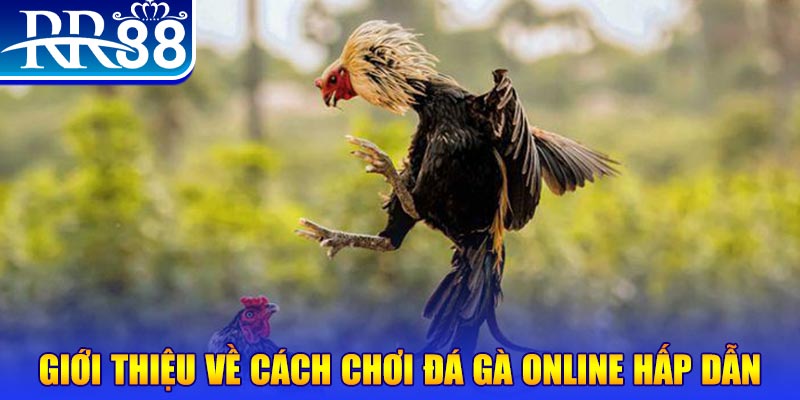 hello 88 nổ hũ 2 mặt là gì