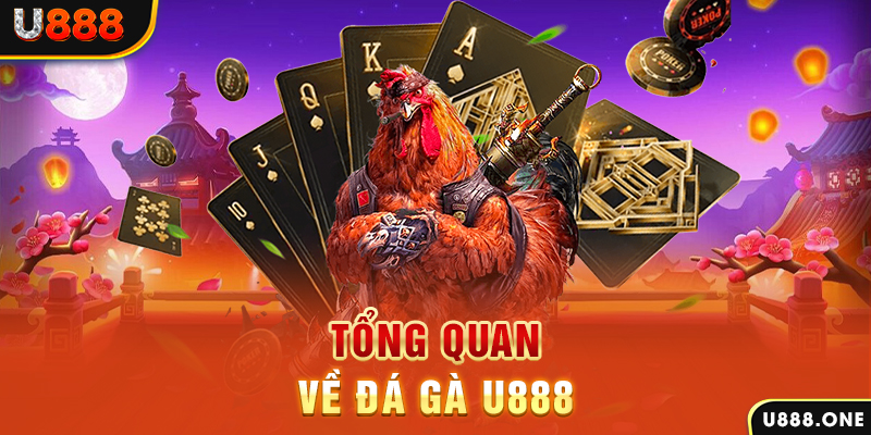 hello 88 what is casino bonus wagering